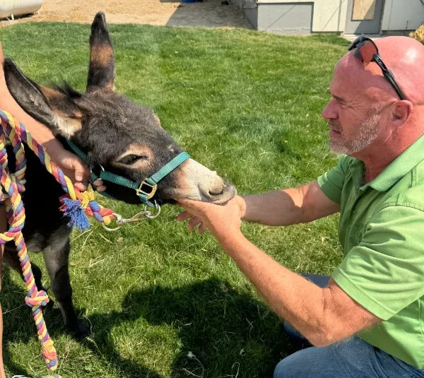 Dr. Danny Borders performing equine dental examination and teeth floating on a donkey in Idaho